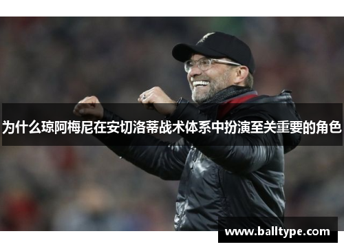 为什么琼阿梅尼在安切洛蒂战术体系中扮演至关重要的角色
