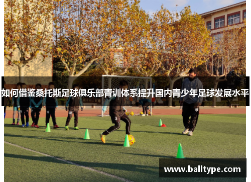 如何借鉴桑托斯足球俱乐部青训体系提升国内青少年足球发展水平