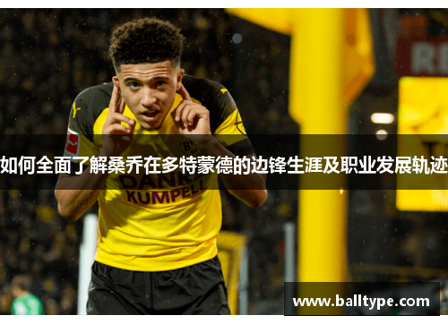 如何全面了解桑乔在多特蒙德的边锋生涯及职业发展轨迹 如何全面了解桑乔在多特蒙德的边锋生涯及职业发展轨迹