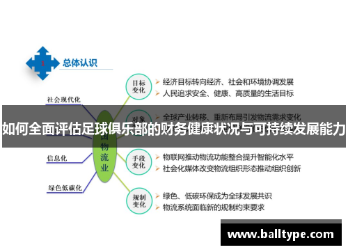 如何全面评估足球俱乐部的财务健康状况与可持续发展能力